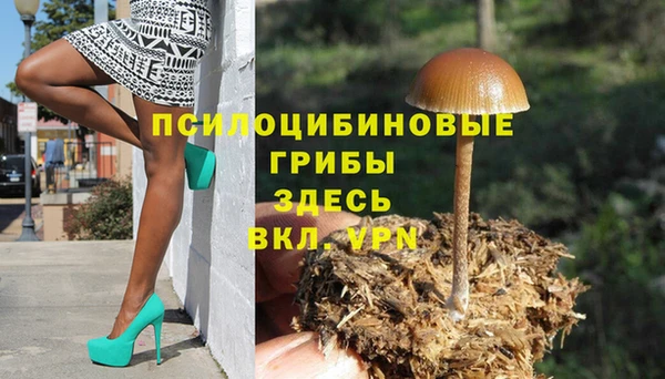 винт Медвежьегорск