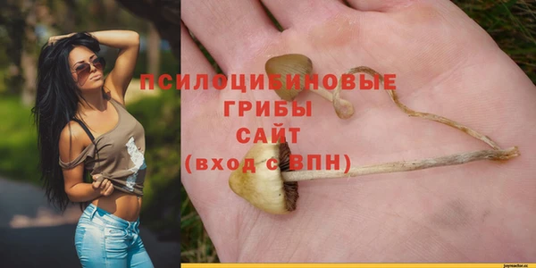 бутират Мегион