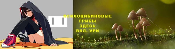 бутират Мегион