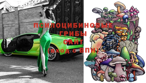 винт Медвежьегорск