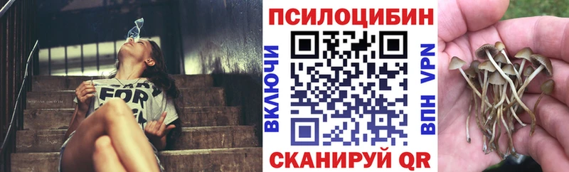 Псилоцибиновые грибы Cubensis  мега вход  Костерёво  цена  